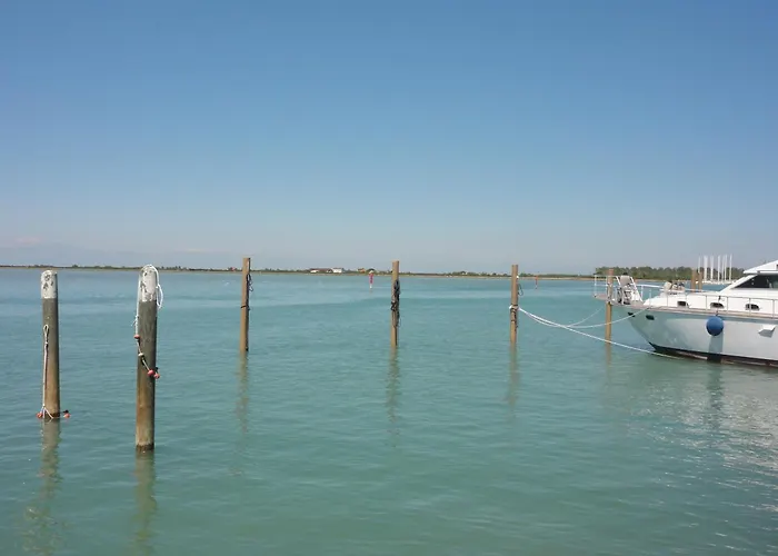 Agavi 16 بيبيوني